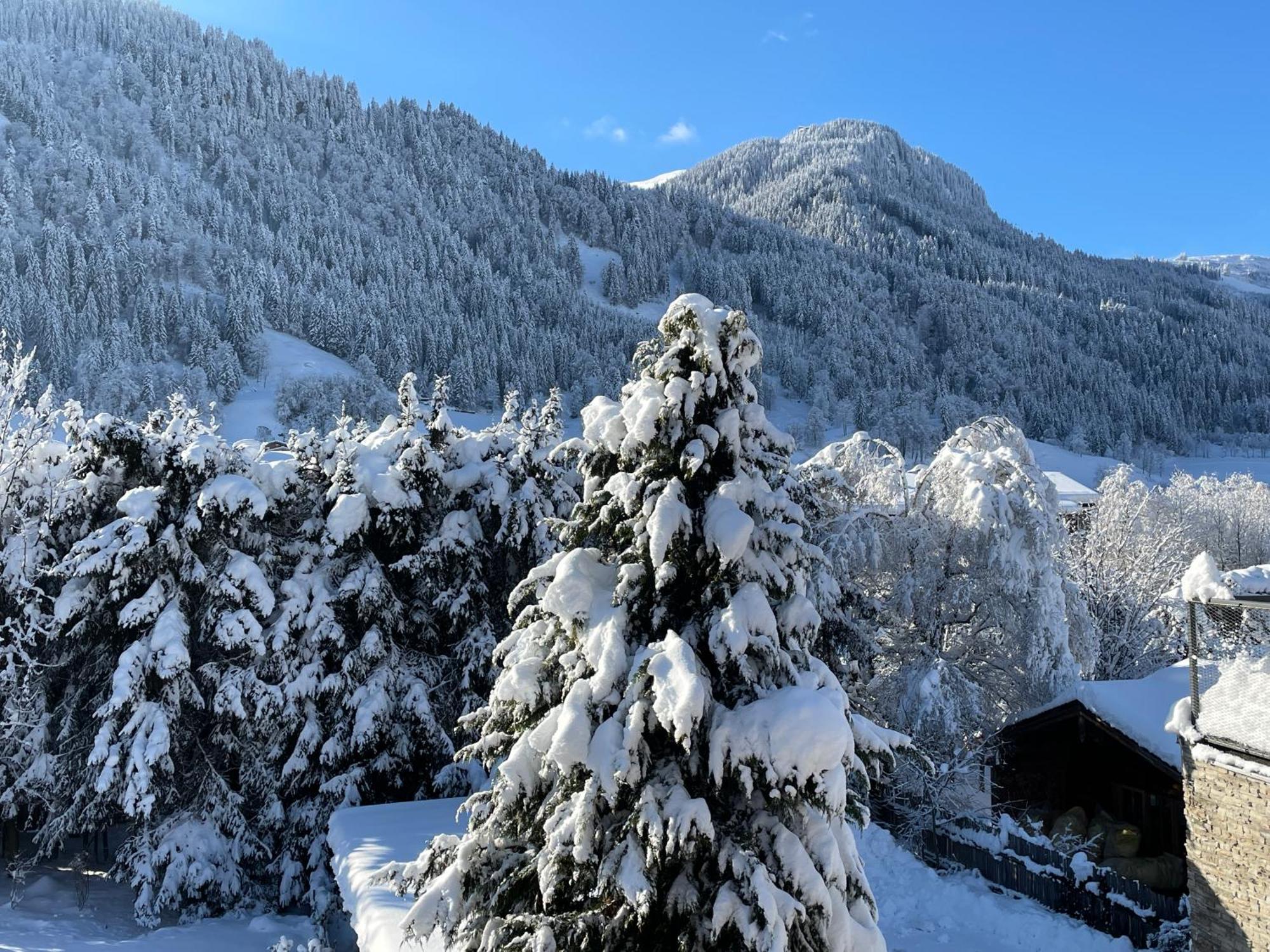 Bacherwiese Penthouse By Alpine Host Helpers คิทซ์บือห์ ภายนอก รูปภาพ